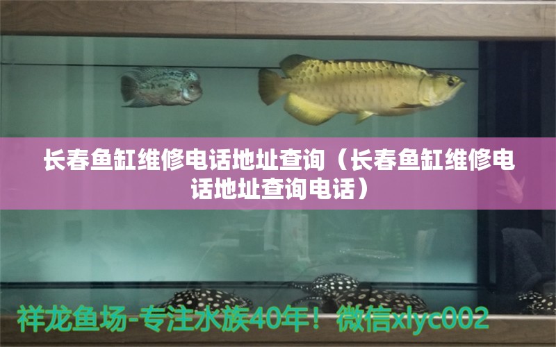 長(zhǎng)春魚缸維修電話地址查詢（長(zhǎng)春魚缸維修電話地址查詢電話） 其他品牌魚缸