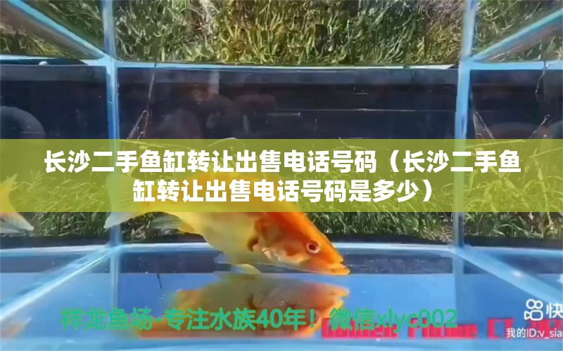 長沙二手魚缸轉讓出售電話號碼（長沙二手魚缸轉讓出售電話號碼是多少）