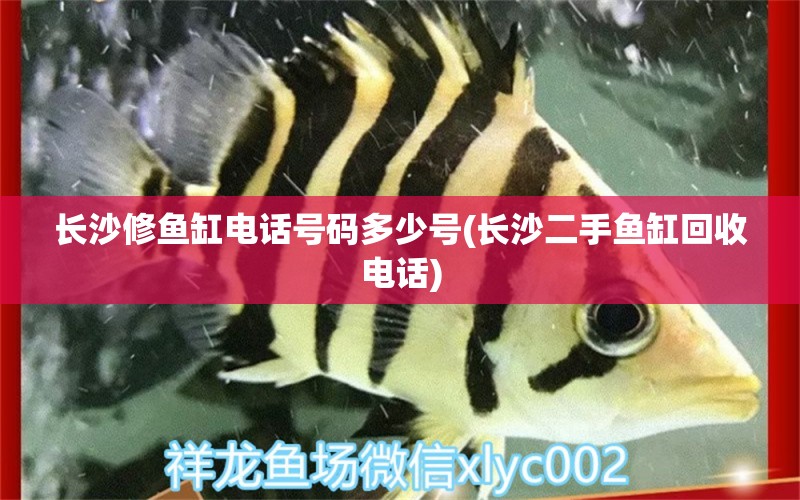 長沙修魚缸電話號(hào)碼多少號(hào)(長沙二手魚缸回收電話) 魚缸水泵