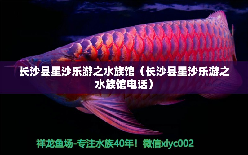 長沙縣星沙樂游之水族館（長沙縣星沙樂游之水族館電話）