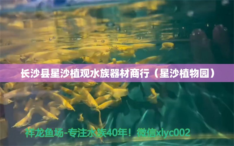 長沙縣星沙植觀水族器材商行（星沙植物園）