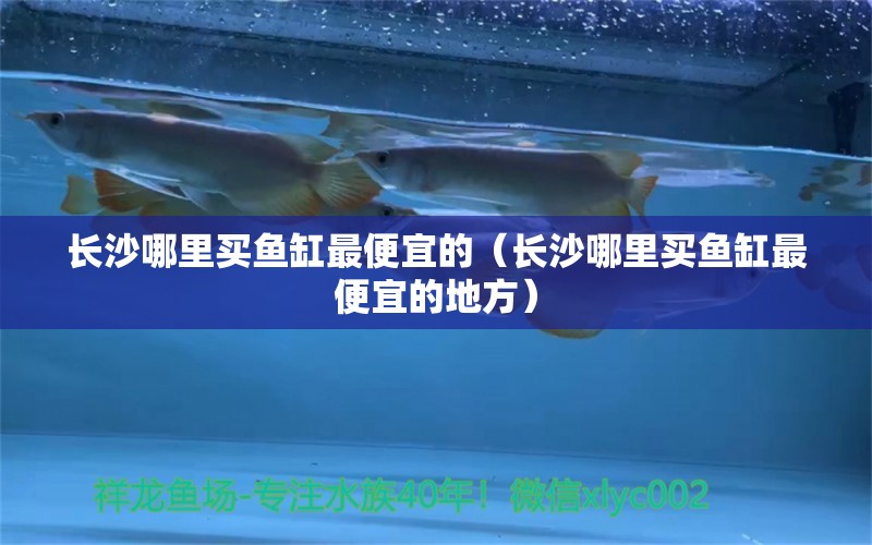 長(zhǎng)沙哪里買魚缸最便宜的（長(zhǎng)沙哪里買魚缸最便宜的地方） 其他品牌魚缸