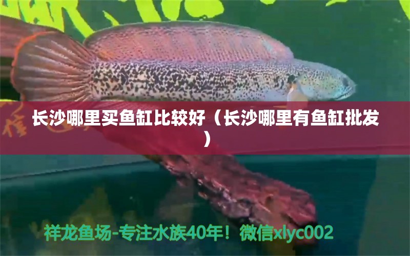 長(zhǎng)沙哪里買魚缸比較好（長(zhǎng)沙哪里有魚缸批發(fā)） 其他品牌魚缸