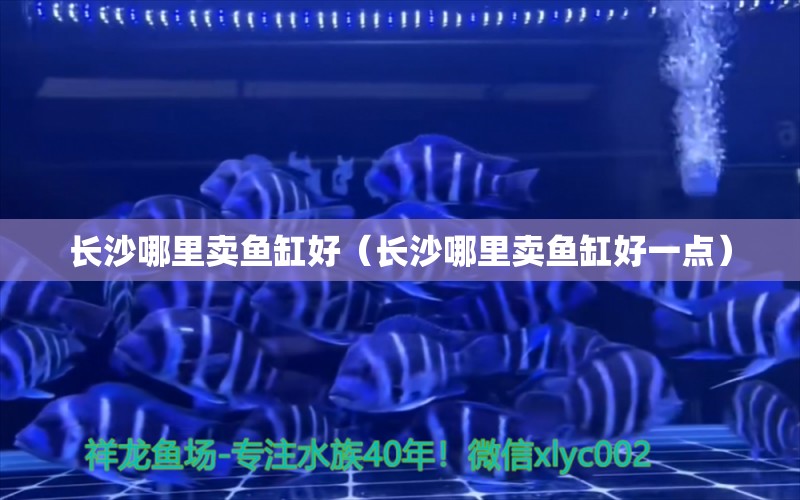 長沙哪里賣魚缸好（長沙哪里賣魚缸好一點）