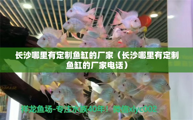 長沙哪里有定制魚缸的廠家（長沙哪里有定制魚缸的廠家電話）