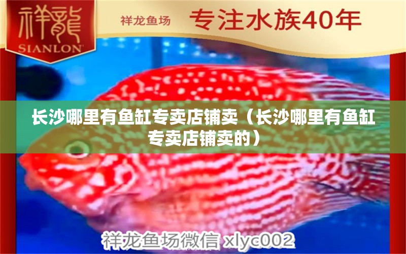 長沙哪里有魚缸專賣店鋪賣（長沙哪里有魚缸專賣店鋪賣的） 其他品牌魚缸