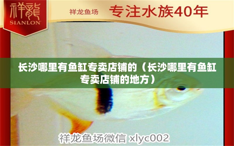 長沙哪里有魚缸專賣店鋪的（長沙哪里有魚缸專賣店鋪的地方）