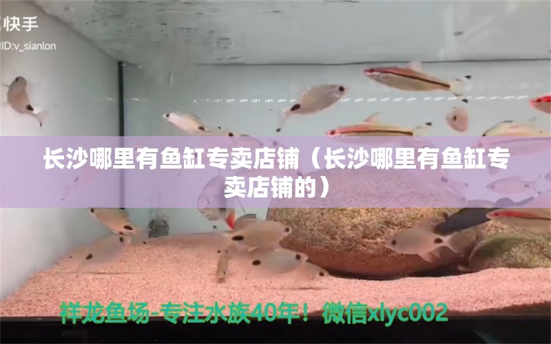 長沙哪里有魚缸專賣店鋪（長沙哪里有魚缸專賣店鋪的）