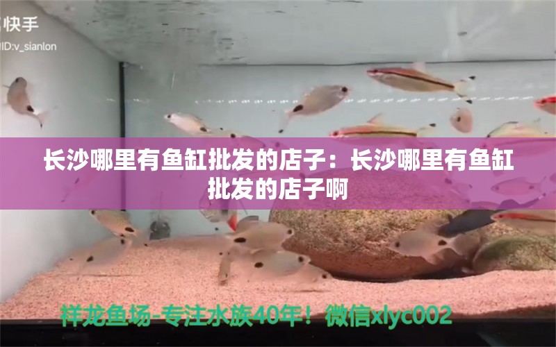 長沙哪里有魚缸批發(fā)的店子：長沙哪里有魚缸批發(fā)的店子啊