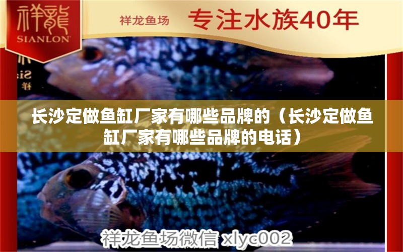 長沙定做魚缸廠家有哪些品牌的（長沙定做魚缸廠家有哪些品牌的電話）