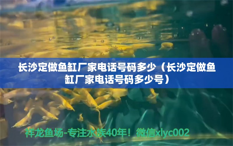 長沙定做魚缸廠家電話號碼多少（長沙定做魚缸廠家電話號碼多少號） 祥龍水族醫(yī)院