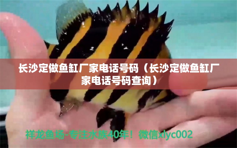 長(zhǎng)沙定做魚(yú)缸廠家電話號(hào)碼（長(zhǎng)沙定做魚(yú)缸廠家電話號(hào)碼查詢） 熱帶魚(yú)魚(yú)苗批發(fā)