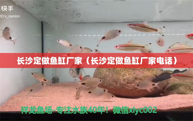 長(zhǎng)沙定做魚缸廠家（長(zhǎng)沙定做魚缸廠家電話） 其他品牌魚缸