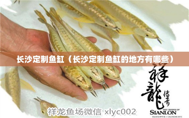 長(zhǎng)沙定制魚(yú)缸（長(zhǎng)沙定制魚(yú)缸的地方有哪些）