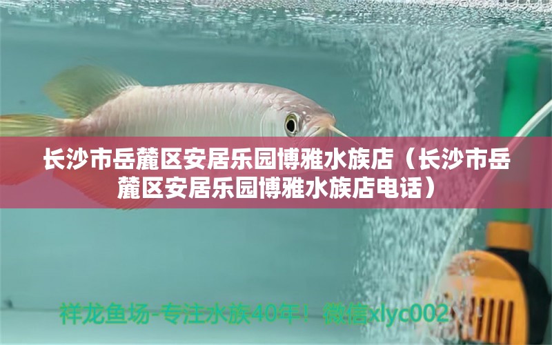 長(zhǎng)沙市岳麓區(qū)安居樂(lè)園博雅水族店（長(zhǎng)沙市岳麓區(qū)安居樂(lè)園博雅水族店電話(huà)）