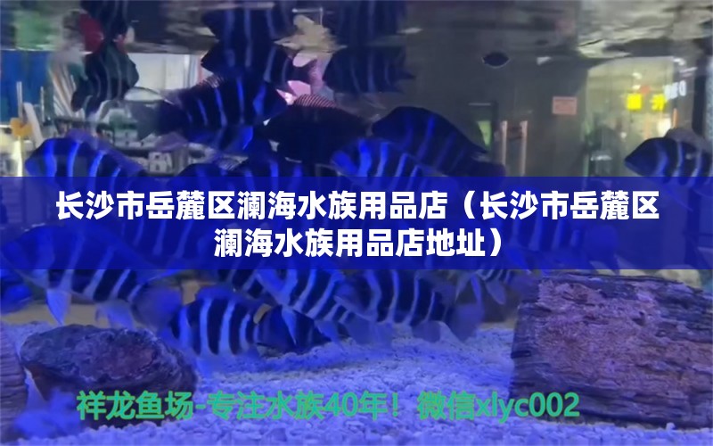 長(zhǎng)沙市岳麓區(qū)瀾海水族用品店（長(zhǎng)沙市岳麓區(qū)瀾海水族用品店地址）