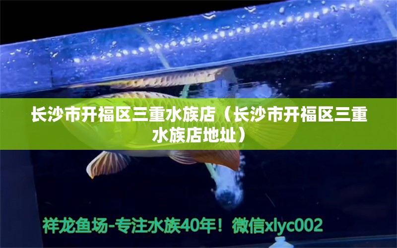 長沙市開福區(qū)三重水族店（長沙市開福區(qū)三重水族店地址）