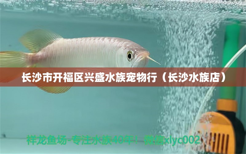 長沙市開福區(qū)興盛水族寵物行（長沙水族店）