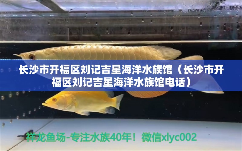 長沙市開福區(qū)劉記吉星海洋水族館（長沙市開福區(qū)劉記吉星海洋水族館電話）