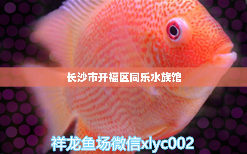 長(zhǎng)沙市開(kāi)福區(qū)同樂(lè)水族館