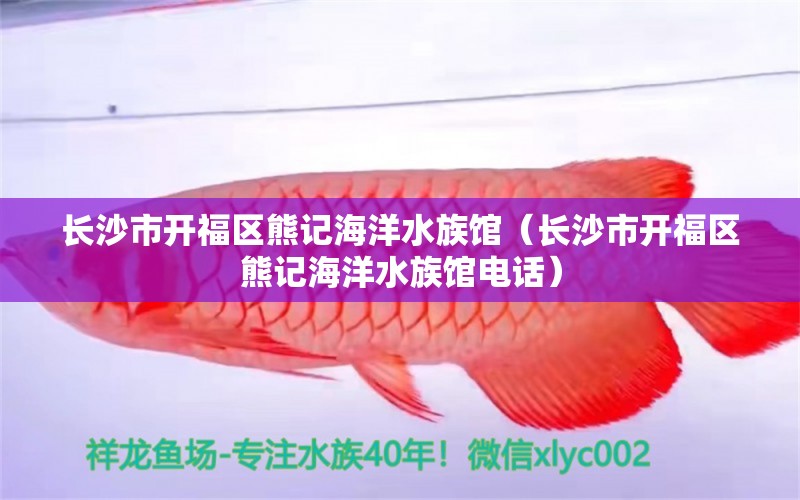 長沙市開福區(qū)熊記海洋水族館（長沙市開福區(qū)熊記海洋水族館電話）