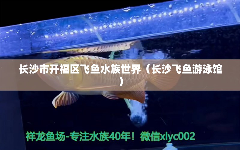 長沙市開福區(qū)飛魚水族世界（長沙飛魚游泳館）