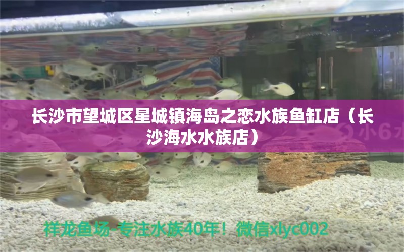 長沙市望城區(qū)星城鎮(zhèn)海島之戀水族魚缸店（長沙海水水族店） 全國水族館企業(yè)名錄