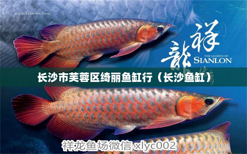 長(zhǎng)沙市芙蓉區(qū)綺麗魚(yú)缸行（長(zhǎng)沙魚(yú)缸） 全國(guó)水族館企業(yè)名錄