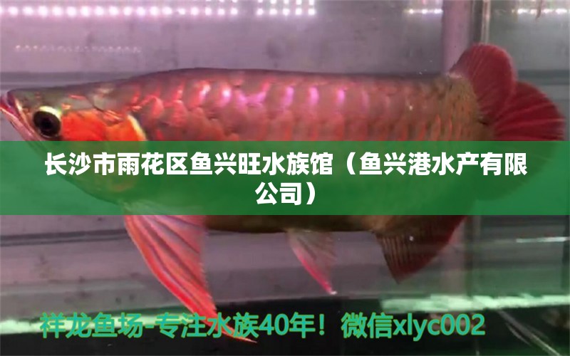 長(zhǎng)沙市雨花區(qū)魚(yú)興旺水族館（魚(yú)興港水產(chǎn)有限公司）