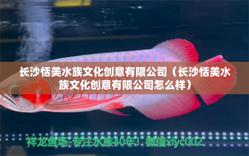 長沙恬美水族文化創(chuàng)意有限公司（長沙恬美水族文化創(chuàng)意有限公司怎么樣） 全國水族館企業(yè)名錄