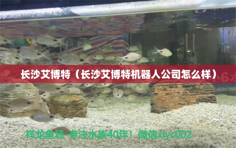 長沙艾博特（長沙艾博特機器人公司怎么樣）