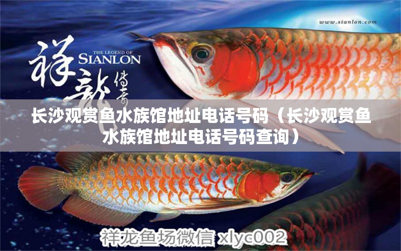 長(zhǎng)沙觀賞魚水族館地址電話號(hào)碼（長(zhǎng)沙觀賞魚水族館地址電話號(hào)碼查詢）