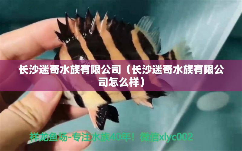 長沙迷奇水族有限公司（長沙迷奇水族有限公司怎么樣）