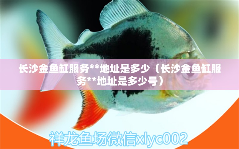 長(zhǎng)沙金魚(yú)缸服務(wù)**地址是多少（長(zhǎng)沙金魚(yú)缸服務(wù)**地址是多少號(hào)） 黑云魚(yú)