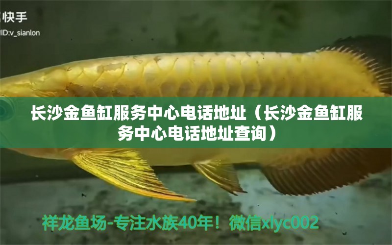 長沙金魚缸服務(wù)中心電話地址（長沙金魚缸服務(wù)中心電話地址查詢） 其他品牌魚缸