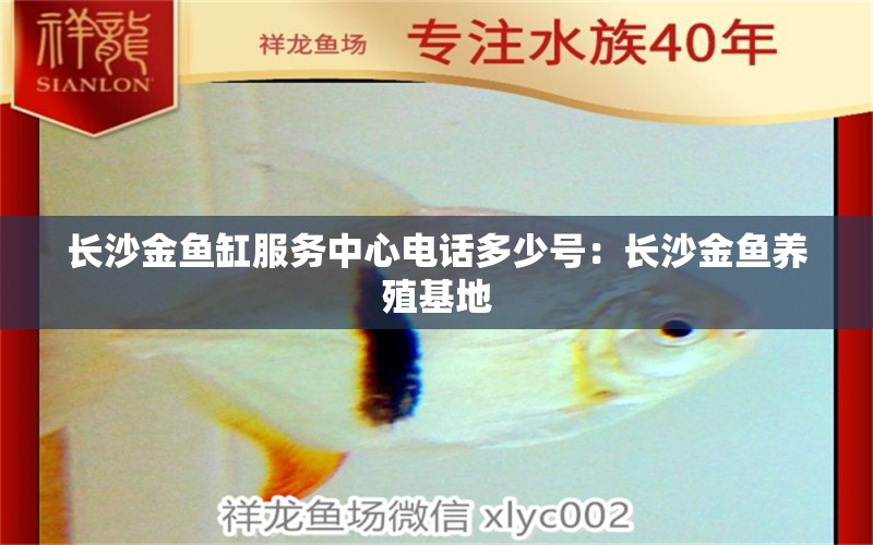 長沙金魚缸服務(wù)中心電話多少號：長沙金魚養(yǎng)殖基地 廣州水族批發(fā)市場