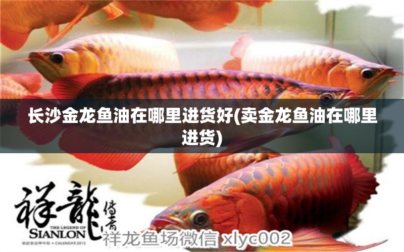 長(zhǎng)沙金龍魚油在哪里進(jìn)貨好(賣金龍魚油在哪里進(jìn)貨) 白子關(guān)刀魚