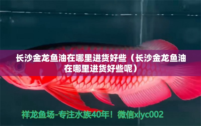 長(zhǎng)沙金龍魚(yú)油在哪里進(jìn)貨好些（長(zhǎng)沙金龍魚(yú)油在哪里進(jìn)貨好些呢）