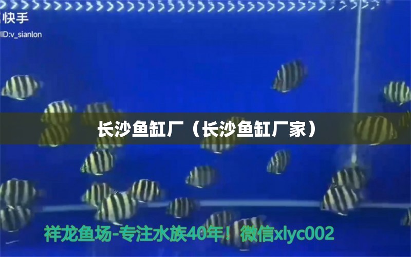 長沙魚缸廠（長沙魚缸廠家）