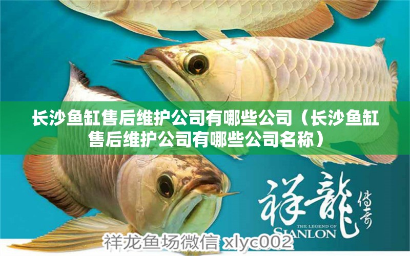 長沙魚缸售后維護公司有哪些公司（長沙魚缸售后維護公司有哪些公司名稱） 其他品牌魚缸