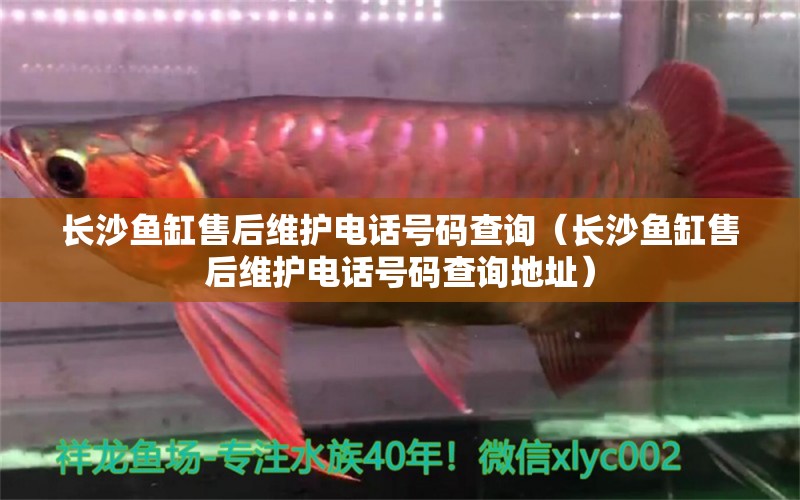 長(zhǎng)沙魚缸售后維護(hù)電話號(hào)碼查詢（長(zhǎng)沙魚缸售后維護(hù)電話號(hào)碼查詢地址） 其他品牌魚缸