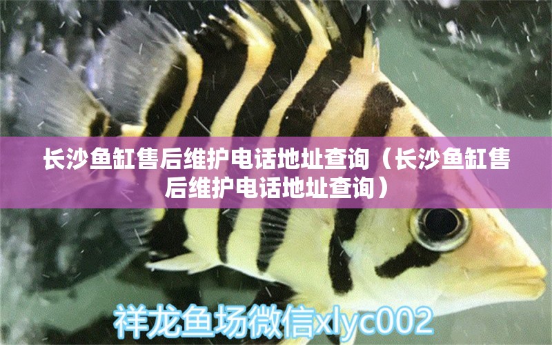 長沙魚缸售后維護(hù)電話地址查詢（長沙魚缸售后維護(hù)電話地址查詢） 其他品牌魚缸