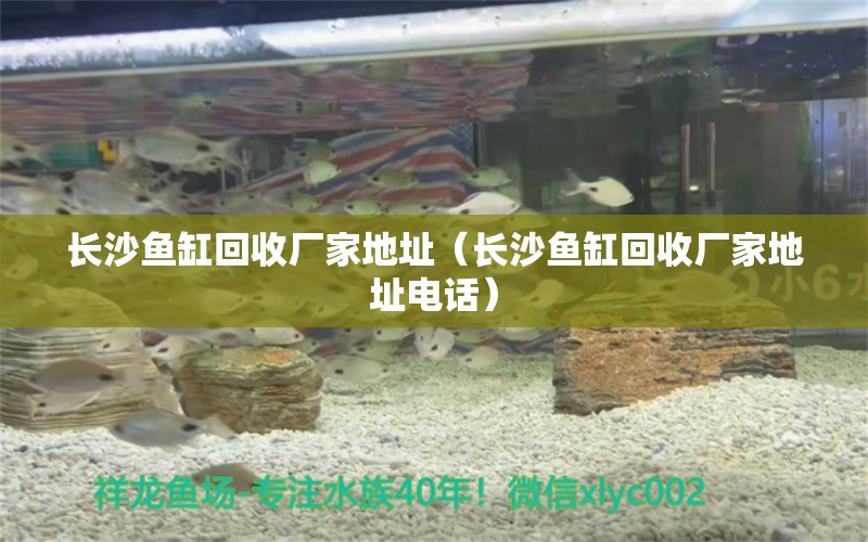 長沙魚缸回收廠家地址（長沙魚缸回收廠家地址電話） 豬鼻龜