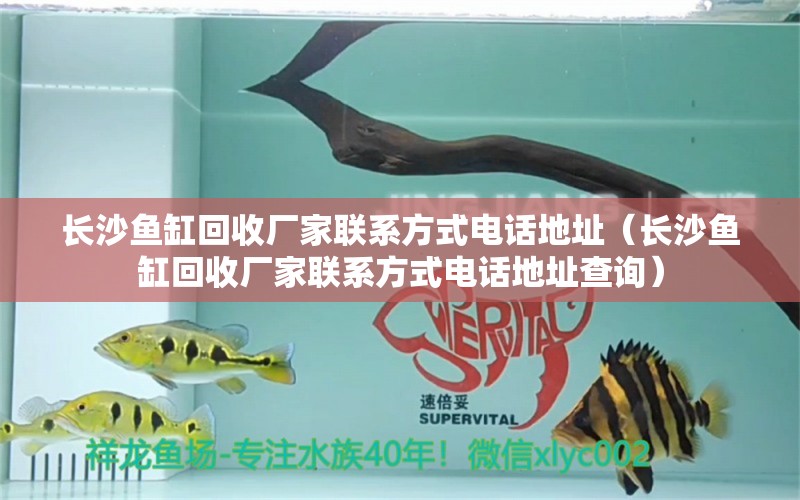 長沙魚缸回收廠家聯(lián)系方式電話地址（長沙魚缸回收廠家聯(lián)系方式電話地址查詢）