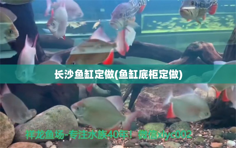 長沙魚缸定做(魚缸底柜定做)