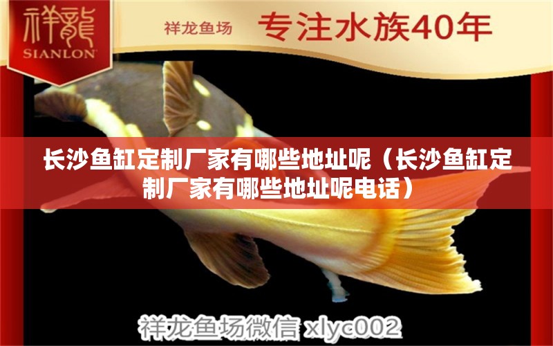 長沙魚缸定制廠家有哪些地址呢（長沙魚缸定制廠家有哪些地址呢電話）