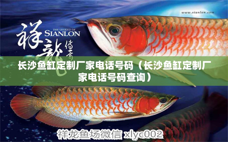 長(zhǎng)沙魚(yú)缸定制廠(chǎng)家電話(huà)號(hào)碼（長(zhǎng)沙魚(yú)缸定制廠(chǎng)家電話(huà)號(hào)碼查詢(xún)） 廣州水族批發(fā)市場(chǎng)