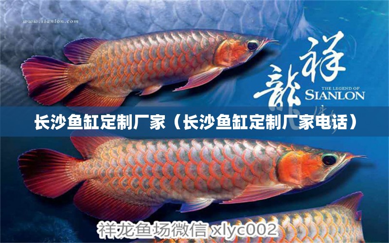 長沙魚缸定制廠家（長沙魚缸定制廠家電話）