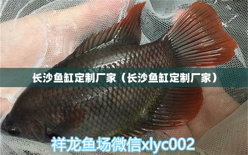 長沙魚缸定制廠家（長沙魚缸定制廠家）