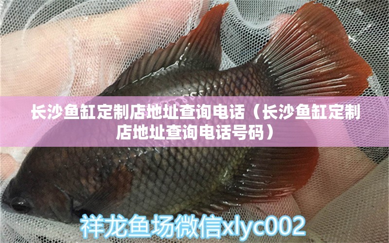 長沙魚缸定制店地址查詢電話（長沙魚缸定制店地址查詢電話號碼）